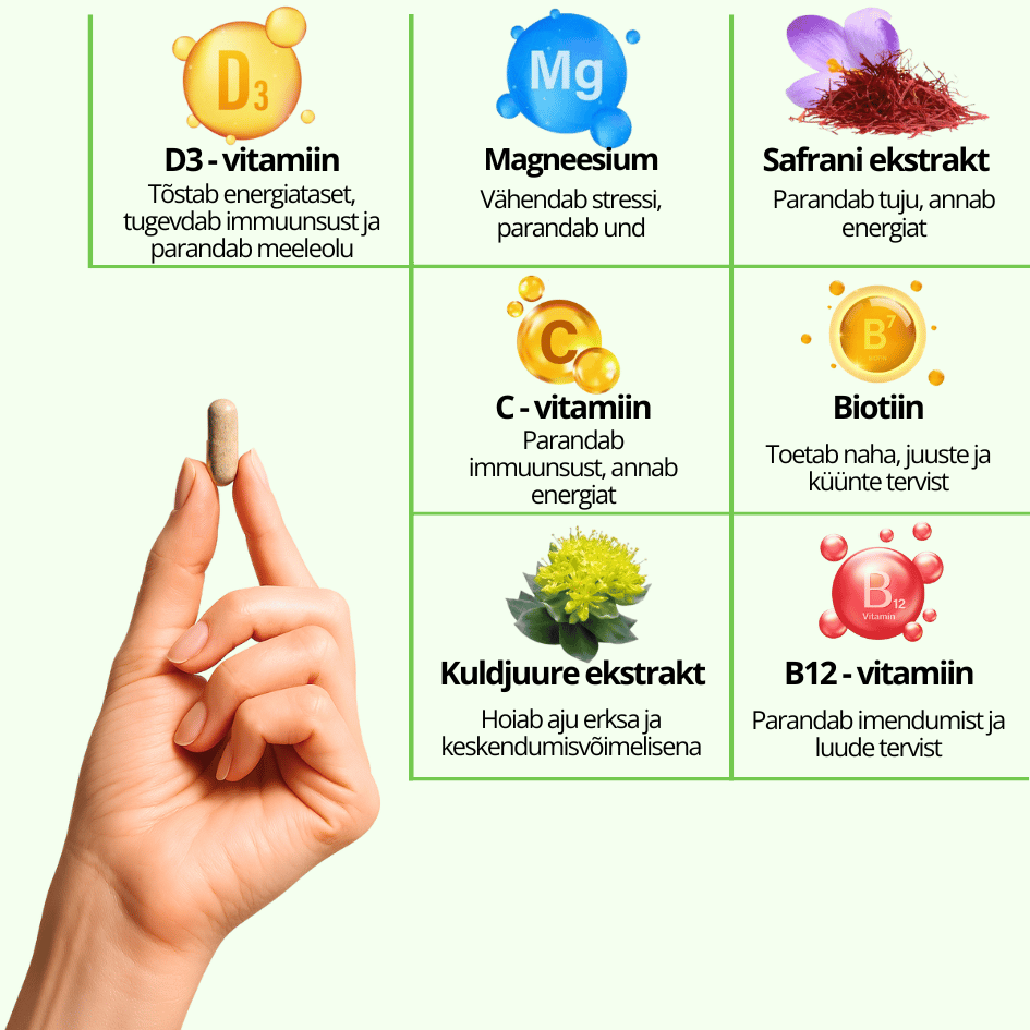 Ökolady Energia